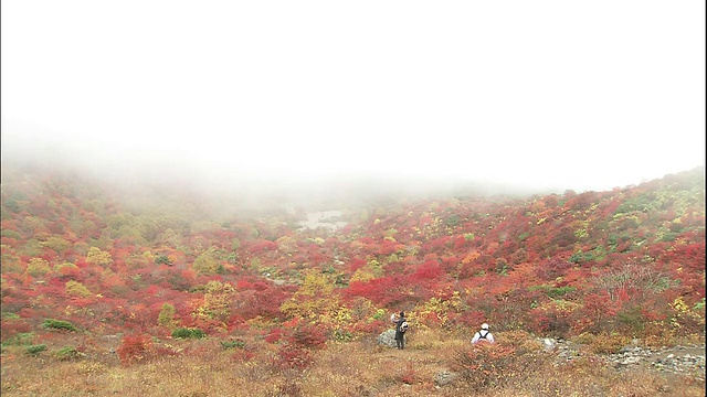 游客们在日本纳苏山享受雾气弥漫的秋景。视频素材