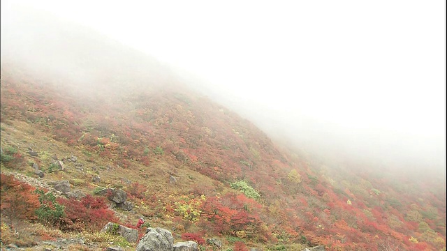 日本那须山，秋日的山坡上飘浮着雾气。视频素材