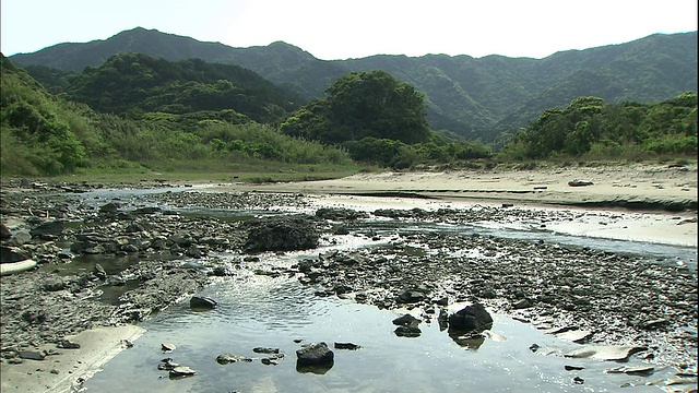 群山和树木环绕着一条流过岩石的小溪。视频素材