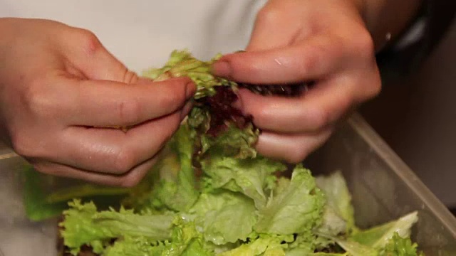 餐厅里做沙拉的精选叶子视频素材