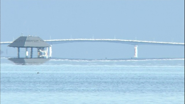 水鸟在日本琵琶湖比和子大桥下出现的海市蜃楼附近游泳。视频素材