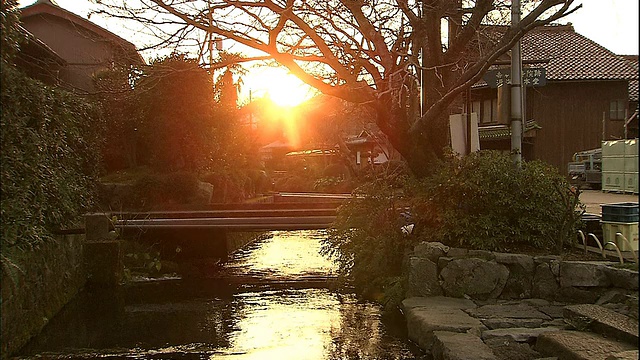 日本迈原市，一名男子骑着自行车经过滋三河附近。视频素材