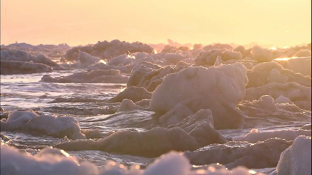 日本北海道鄂霍次克海的浮冰上闪耀着金色的光芒。视频素材