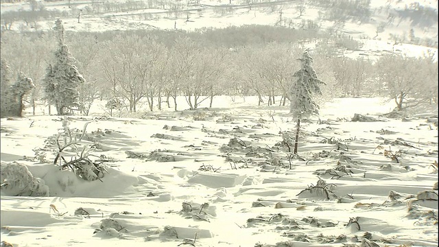 日本北海道Mokoto山附近，积雪覆盖了一片田野。视频素材