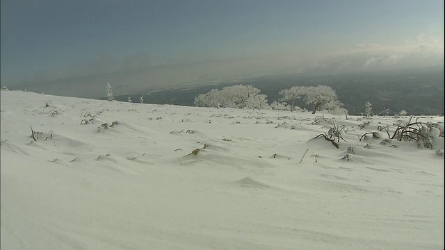 日本北海道目琴山附近，白雪覆盖着一片荒芜的田野。视频素材