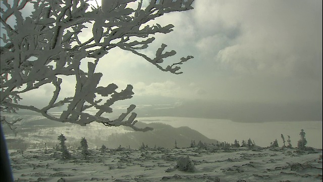 日本北海道目琴山附近，白雪覆盖着一片荒芜的田野。视频素材