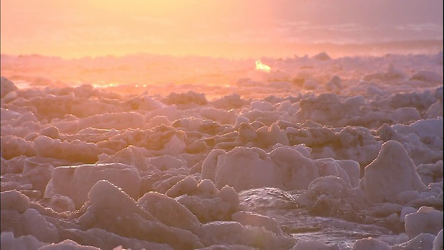 日本北海道鄂霍次克海的浮冰上闪耀着金色的光芒。视频素材