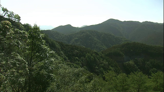 Kumano Kodo附近的Kii山脉覆盖着茂密的植被。视频素材