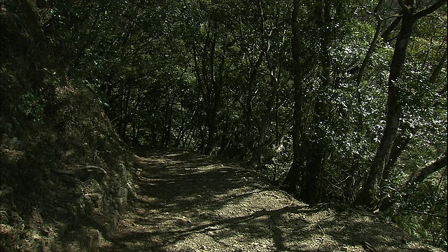 一条山路通往日本和歌山的百健谷天文台。视频素材