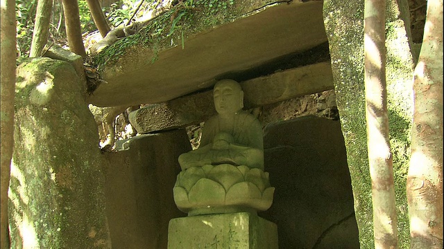 游客们在日本熊野和道的山口徒步旅行。视频素材