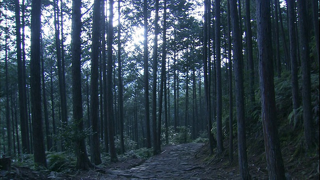 和歌山的熊野琴道小径由鹅卵石铺成。视频素材