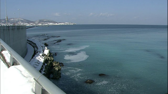 日本北海道小丸海岸，成群的鲱鱼涌向岸边产卵。视频素材