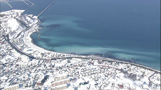 日本北海道小樽港沿岸，成群的鲱鱼涌向岸边产卵。视频素材