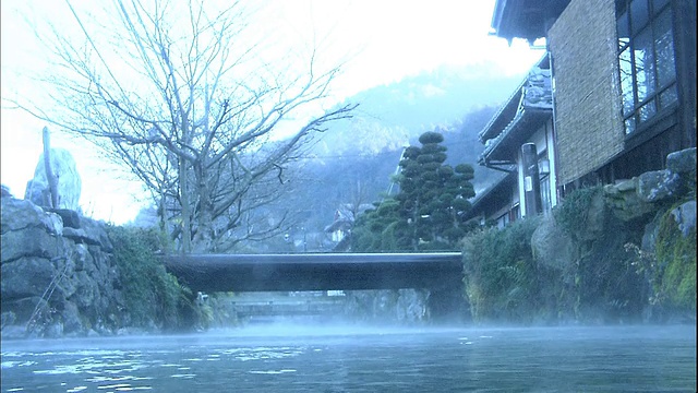 日本迈原，白色的毛茛-水仙花在滋藏河的水流中摇摆。视频素材