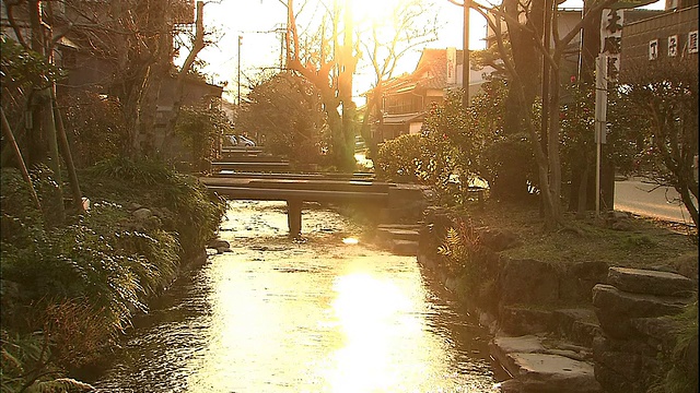 日本迈原市，金色的灯光照在横跨滋藏河的一座桥上。视频素材