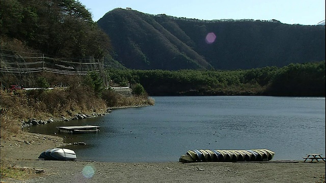 日本山梨县富士箱根伊豆国家公园，水鸟游过斋子湖。视频素材