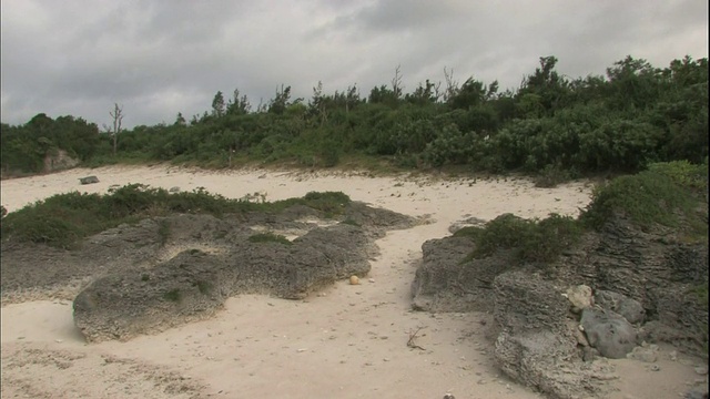 冲绳岛塔拉马岛上，海浪拍打着多岩石的海岸。视频素材