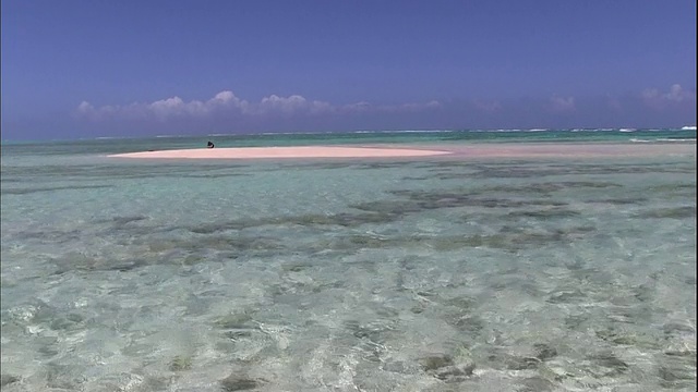 在日本鹿儿岛的约龙岛海岸，热带清澈的海水包围着一个白色的沙洲，只有在退潮时才会出现。视频素材