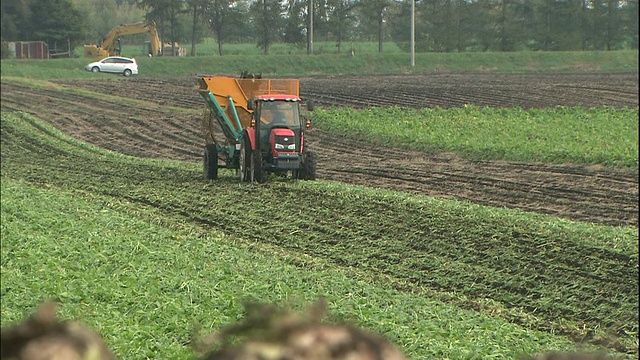 日本北海道，一辆拖拉机在收获甜菜。视频素材