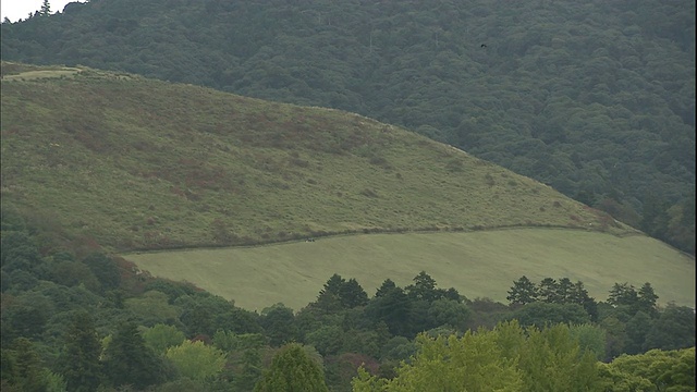 植被覆盖着日本奈良的若久草山。视频素材