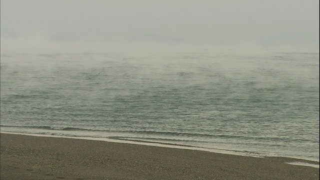 薄雾飘过海岸。视频素材