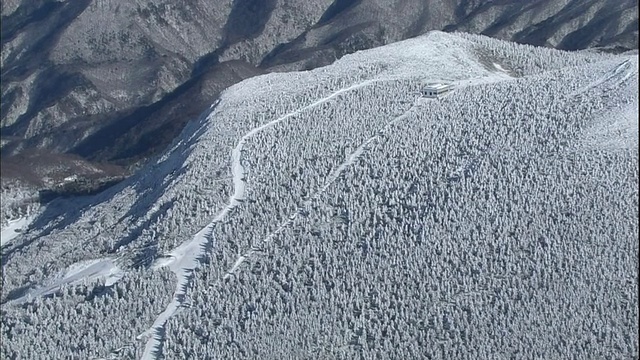 日本藏山(Zao)的一个索道站下面，一个滑雪坡道在白雪覆盖的森林之间延伸。视频素材