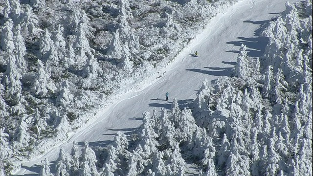 日本藏山(Zao)有一个滑雪坡道，通往覆盖着霜冻的森林。视频素材