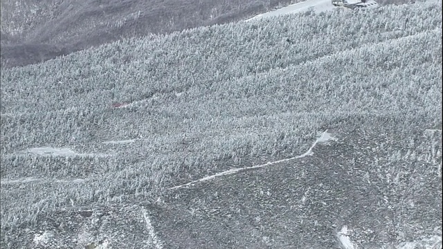 在日本藏山山脉，白雪覆盖的森林环绕着一个滑雪胜地视频素材