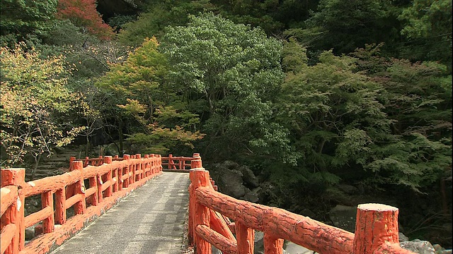 一座人行桥横跨日本的Kizetsukyo峡谷。视频素材