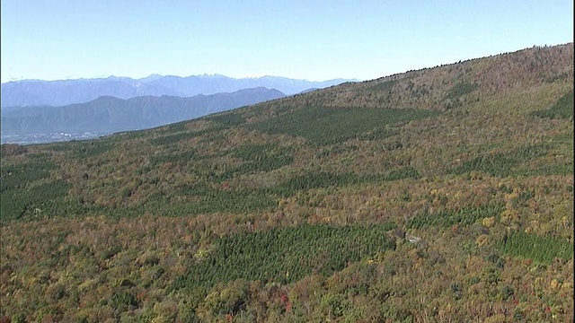 秋叶覆盖了富士山的山坡。视频素材