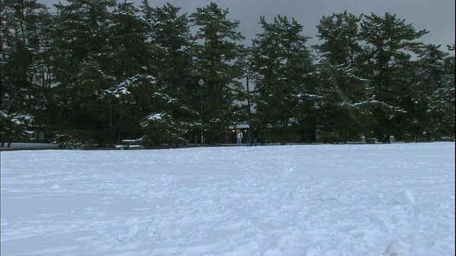 在Amanohashidate沙洲的雪地上，雪花落在几个雪人身上。视频素材