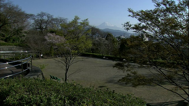 公园里的樱花树映出远处白雪皑皑的富士山。视频素材