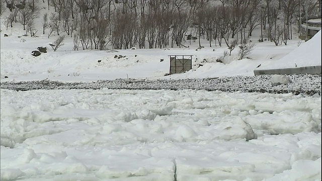 在日本北海道，冰雪环绕着普yuni角。视频素材