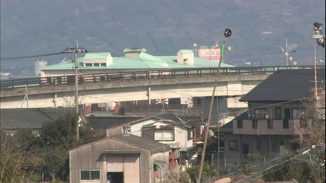 日本鹿儿岛，起重机起飞并在泉移民场周围飞行。视频素材