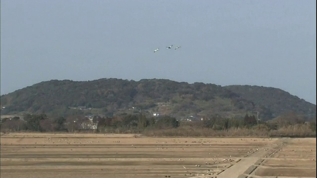 鹤飞过日本鹿儿岛泉移民基地的稻田。视频素材