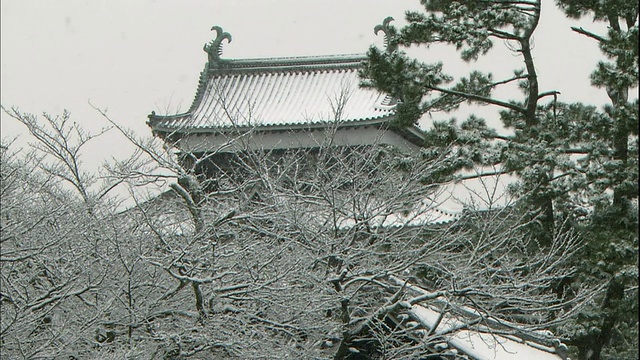 日本岛根市松江城堡，积雪覆盖。视频素材