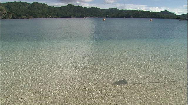 一面旗帜在Chichijima岛周围清澈的海水上投下了阴影。视频素材