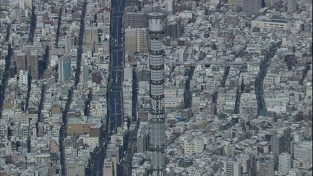 东京天空树(Tokyo Skytree)耸立在缀田河(Sumida River)上，笼罩在积雪覆盖的东京市中心。视频素材