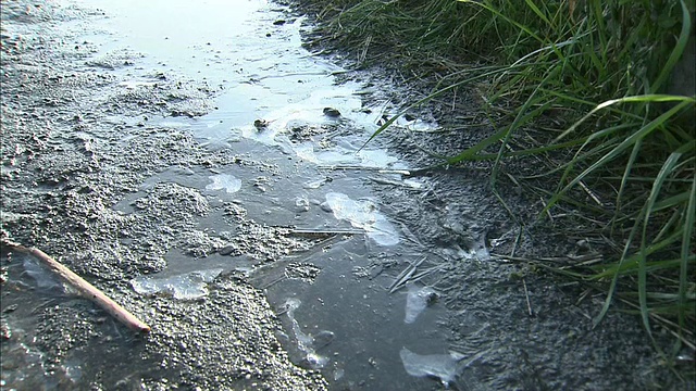 东京多摩川河(Tamagawa River)长满草的河岸上结满了冰。视频素材