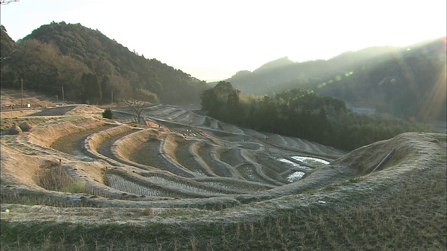 日本千叶山田梯田群山环绕。视频素材