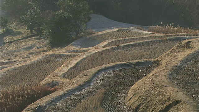 大山仙台田梯田位于日本千叶市的一座山上。视频素材