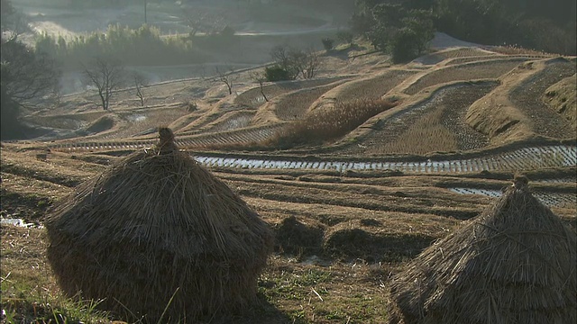 在日本千叶，雾气缭绕的群山环绕着山田梯田。视频素材