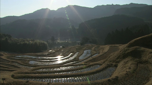 清晨的阳光照在日本千叶的山舞田梯田上。视频素材