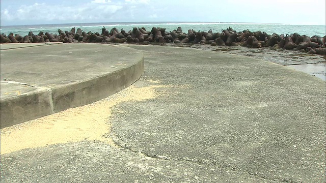 钢防波堤和混凝土围护在日本冲之鸟礁东小岛上保护小岛。视频素材