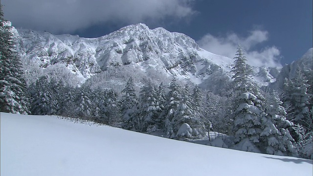 厚厚的积雪覆盖了树木繁茂的日本Yatsugatake山。视频素材