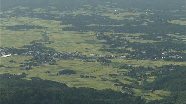 郁郁葱葱的群山环绕着日本佐渡岛的稻田。视频素材