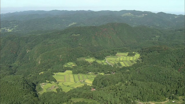 茂密的山脉环绕着日本佐渡岛的梯田。视频素材