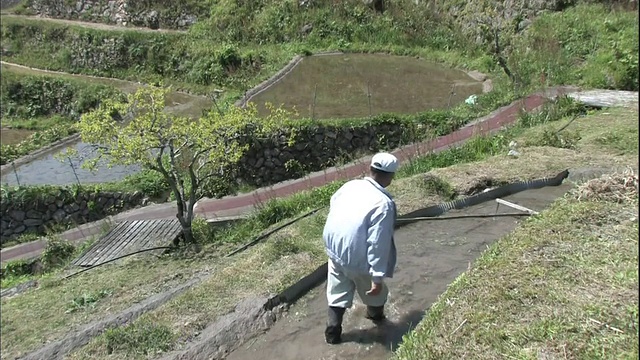 日本丸山仙maida梯田，一名农民在犁地。视频素材