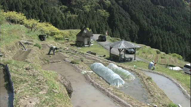 车辆经过丸山仙maida水稻梯田，农民在这里种植水稻幼苗。视频素材