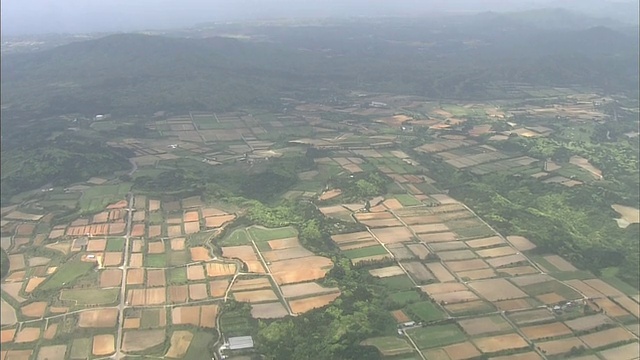 日本德野岛上错落有致的农田。视频素材